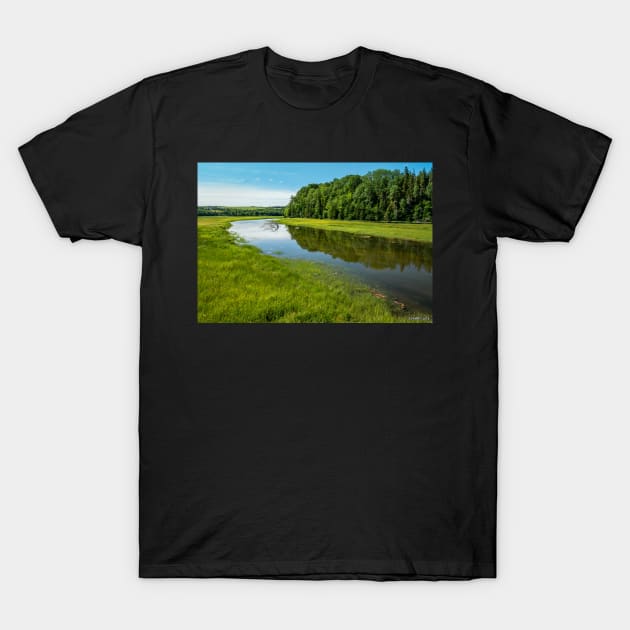 Mabou River T-Shirt by kenmo